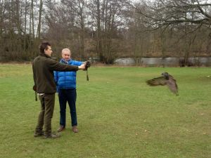 falconry2