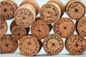 Cava cork