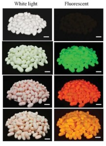 Fluorescent-Cocoons-Crop