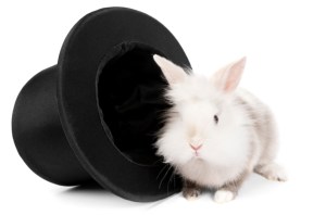 rabbit-hat